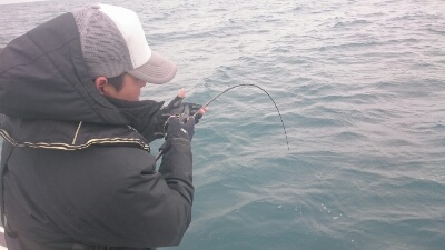 IDATEN（イダテン） 釣果