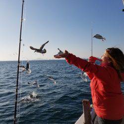 遊漁船 ニライカナイ 釣果