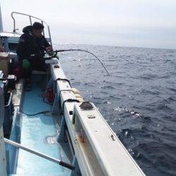 武勝丸（ぶしょうまる） 釣果