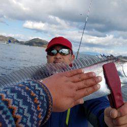 遊漁船　ニライカナイ 釣果