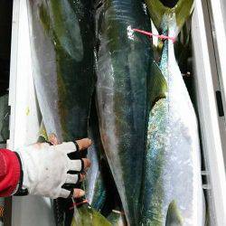 スカイマリン 釣果