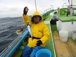 久里浜黒川本家 釣果