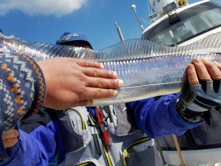 遊漁船　ニライカナイ 釣果