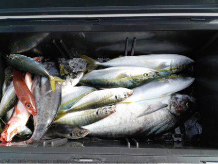 第二大福丸 釣果