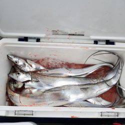 遊漁船 ニライカナイ 釣果