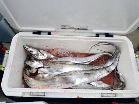 遊漁船 ニライカナイ 釣果