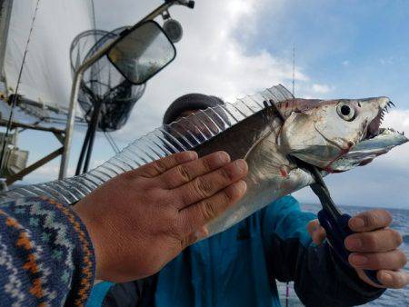 遊漁船　ニライカナイ 釣果