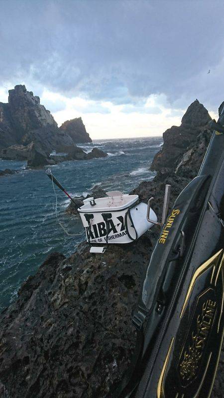 鵜来島家本渡船 釣果