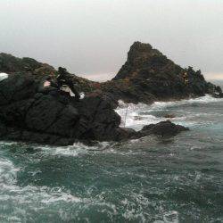 鵜来島家本渡船 釣果