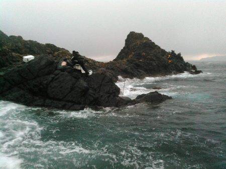 鵜来島家本渡船 釣果