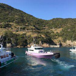 鵜来島家本渡船 釣果