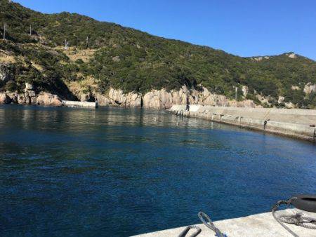 鵜来島家本渡船 釣果