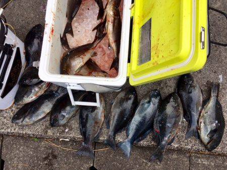 鵜来島家本渡船 釣果