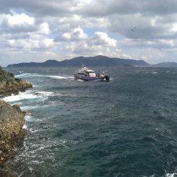 鵜来島家本渡船 釣果