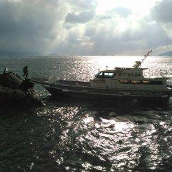 鵜来島家本渡船 釣果