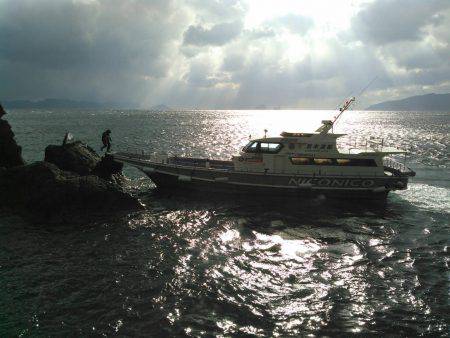 鵜来島家本渡船 釣果