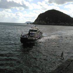 鵜来島家本渡船 釣果