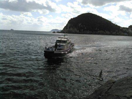 鵜来島家本渡船 釣果