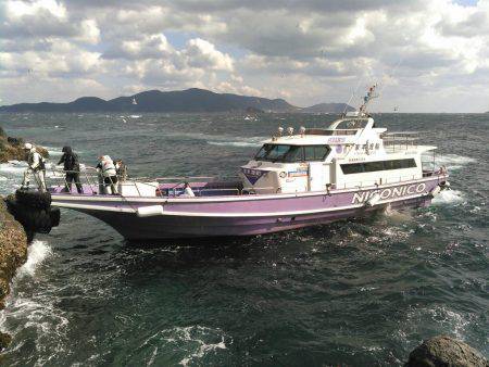 鵜来島家本渡船 釣果