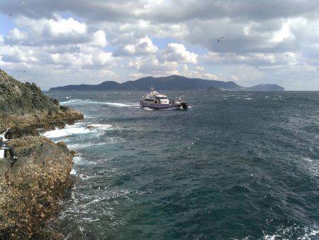 鵜来島家本渡船 釣果