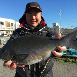 鵜来島家本渡船 釣果