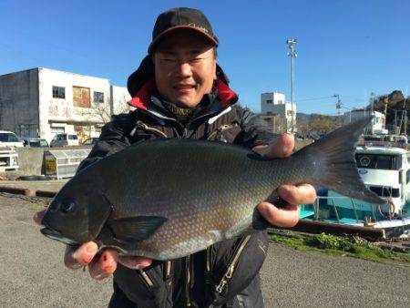 鵜来島家本渡船 釣果