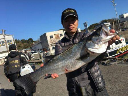 鵜来島家本渡船 釣果
