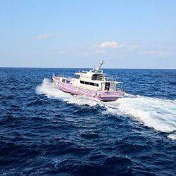 鵜来島家本渡船 釣果