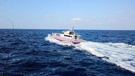 鵜来島家本渡船 釣果