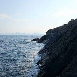 鵜来島家本渡船 釣果