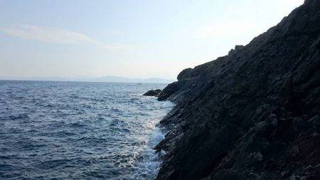 鵜来島家本渡船 釣果