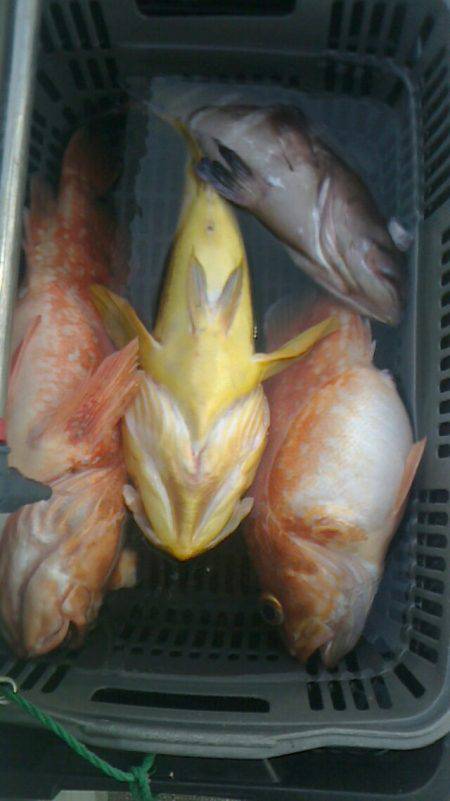 第二大福丸 釣果