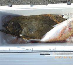 石川丸 釣果