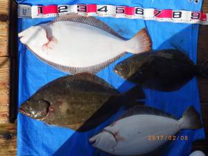 石川丸 釣果