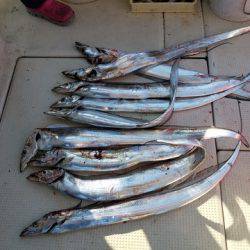 遊漁船 ニライカナイ 釣果