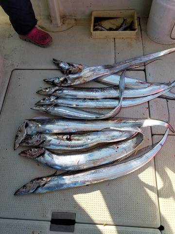 遊漁船 ニライカナイ 釣果