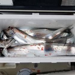 遊漁船 ニライカナイ 釣果