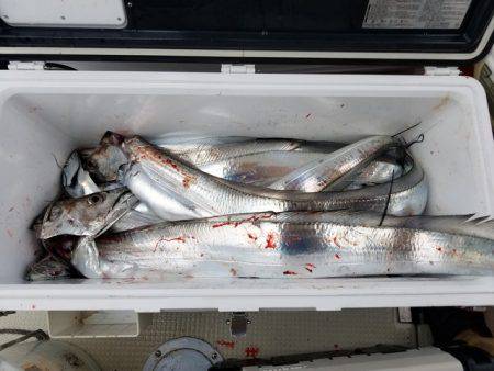 遊漁船 ニライカナイ 釣果