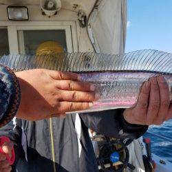 遊漁船 ニライカナイ 釣果
