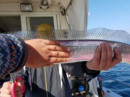 遊漁船 ニライカナイ 釣果