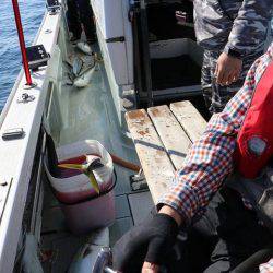 スカイマリン 釣果