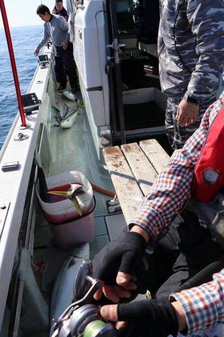 スカイマリン 釣果