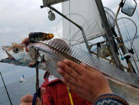 遊漁船　ニライカナイ 釣果