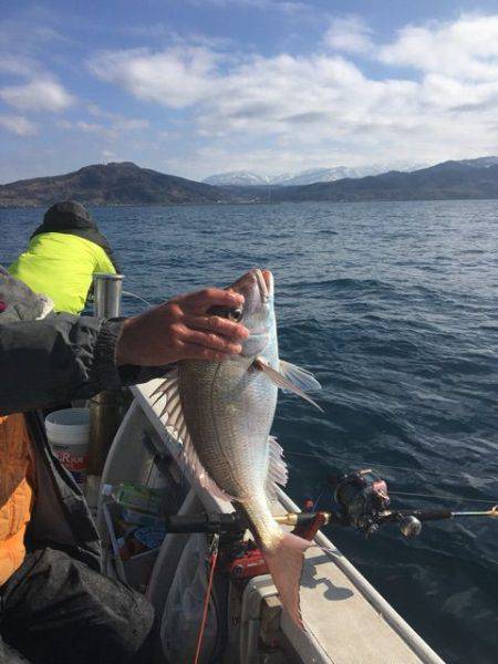 龍宮丸 釣果