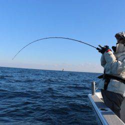へいみつ丸 釣果