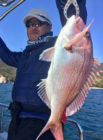 YELLOW-TAIL イエローテール 釣果