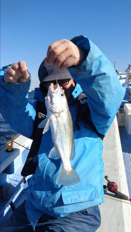 浜新丸 釣果