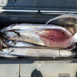 遊漁船　ニライカナイ 釣果