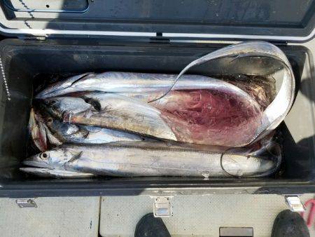 遊漁船　ニライカナイ 釣果