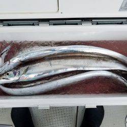 遊漁船　ニライカナイ 釣果